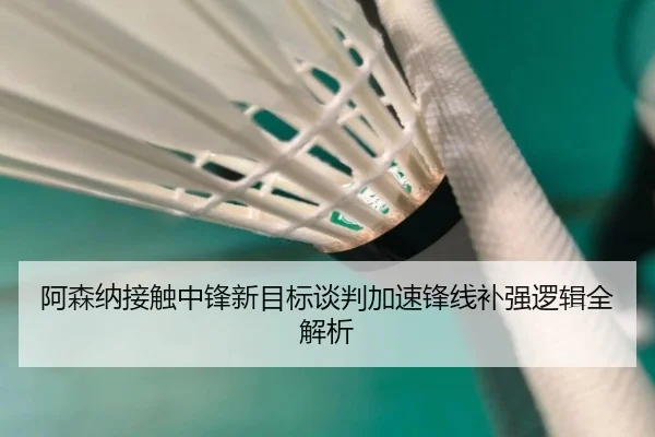 阿森纳接触中锋新目标谈判加速锋线补强逻辑全解析